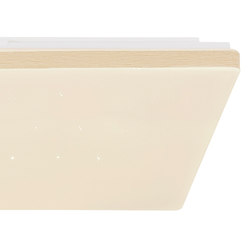 Globo - Светодиодный диммируемый потолочный светильник LED/24W/230V Wi-Fi Tuya + ДУ