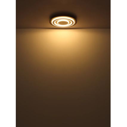 Globo - Стельовий LED світильник LED/24W/230V 3000K діаметр 32 см антрацит
