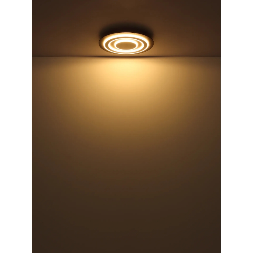 Globo - Стельовий LED світильник LED/24W/230V 3000K діаметр 32 см антрацит