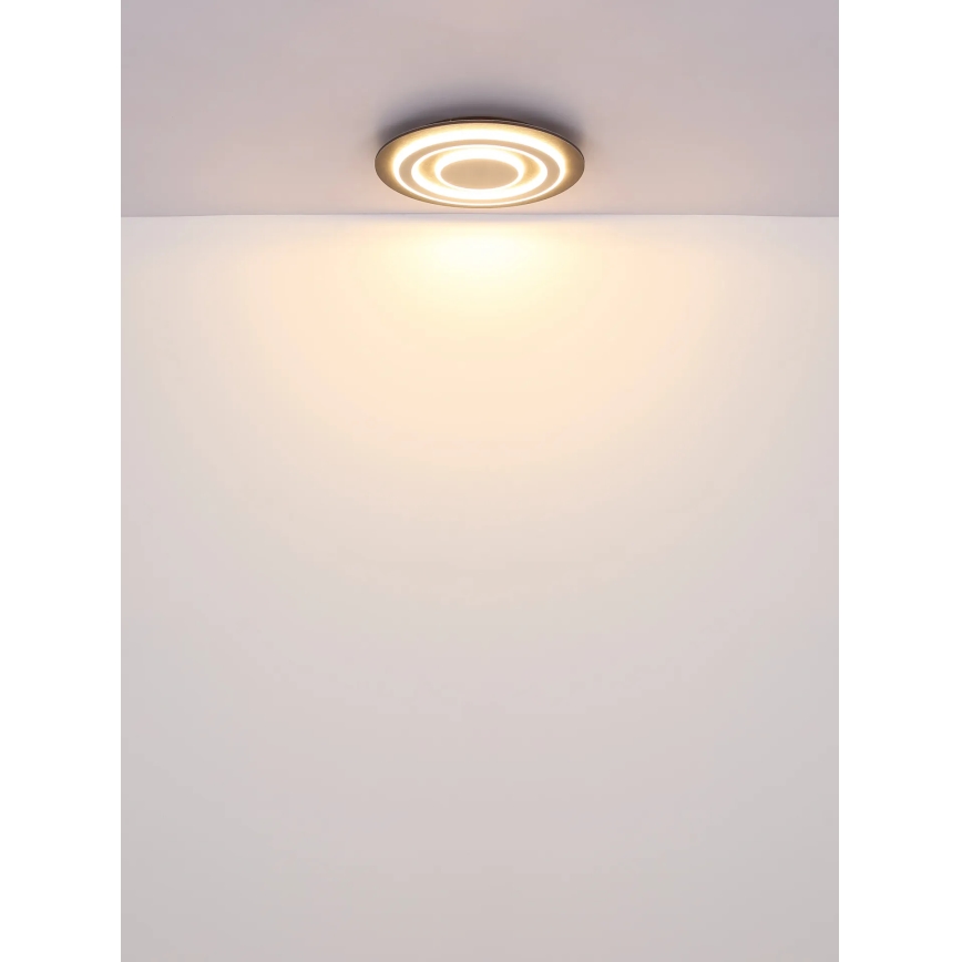 Globo - Стельовий LED світильник LED/24W/230V 3000K діаметр 32 см антрацит