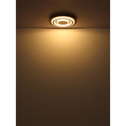 Globo - Светодиодный потолочный светильник LED/24W/230V 3000K диаметр 32 см