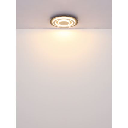 Globo - Светодиодный потолочный светильник LED/24W/230V 3000K диаметр 32 см