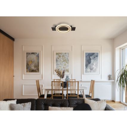 Globo - Светодиодный потолочный светильник LED/18W/230V 3000K 29x44 см
