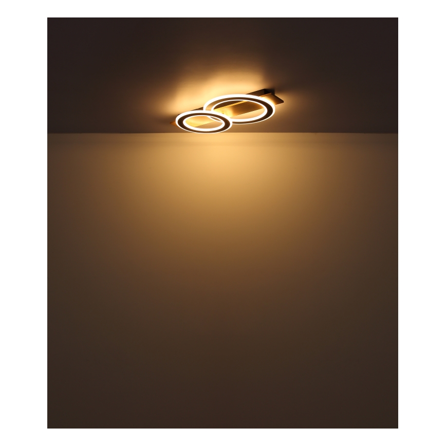 Globo - Стельовий LED світильник LED/40W/230V 3000K 35x63 см