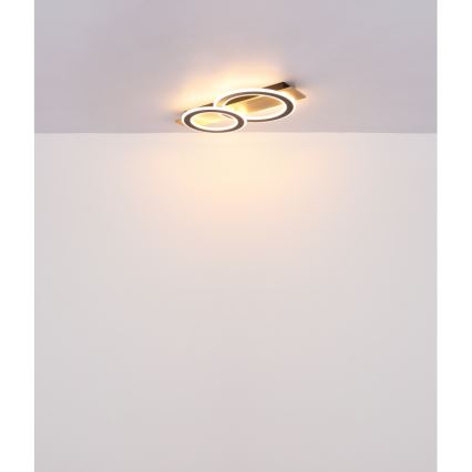 Globo - Стельовий LED світильник LED/40W/230V 3000K 35x63 см