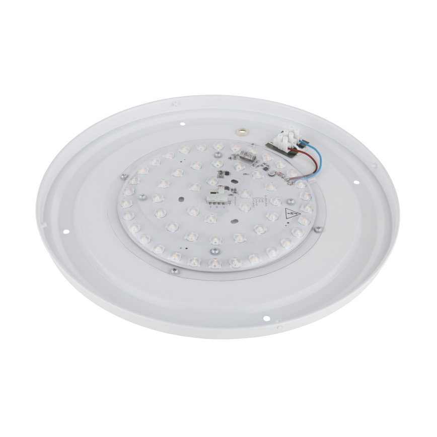 Globo - Светодиодный потолочный светильник с регулированием яркости LED/24W/230V 3000/4000/6000K диаметр 38 см
