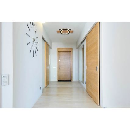 Globo - Стельовий LED світильник LED/18W/230V коричневий