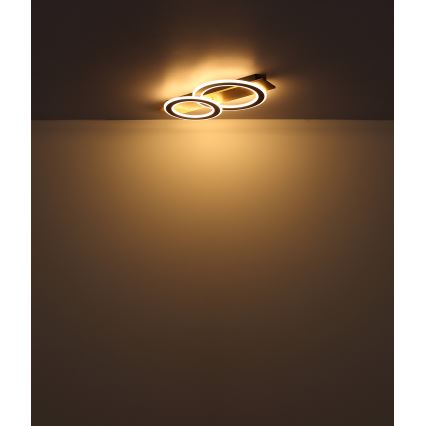 Globo - Стельовий LED світильник LED/40W/230V коричневий