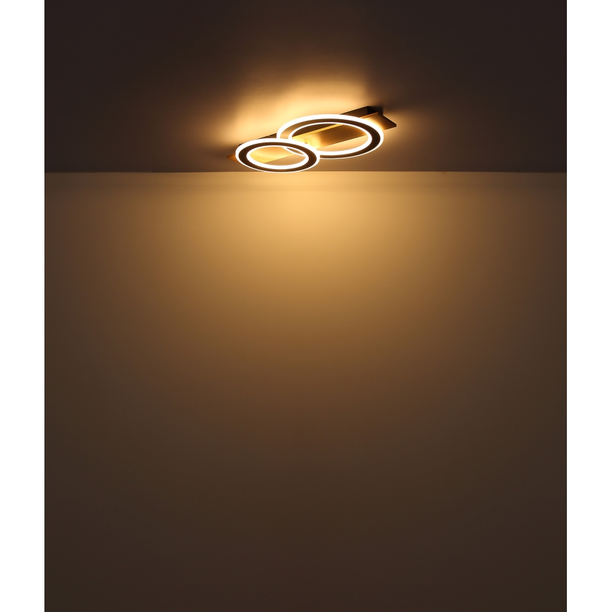 Globo - Стельовий LED світильник LED/40W/230V коричневий