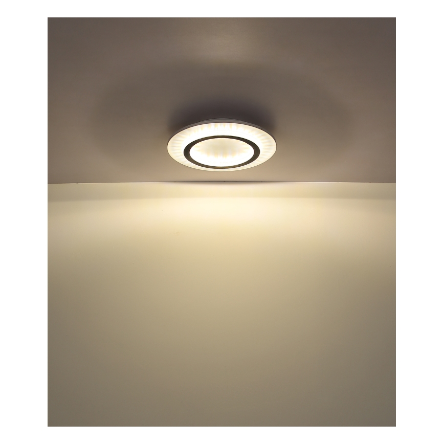 Globo - светодиодный потолочный светильник LED/24Вт/230В 3000/4000/6500К диаметр 35 см белый