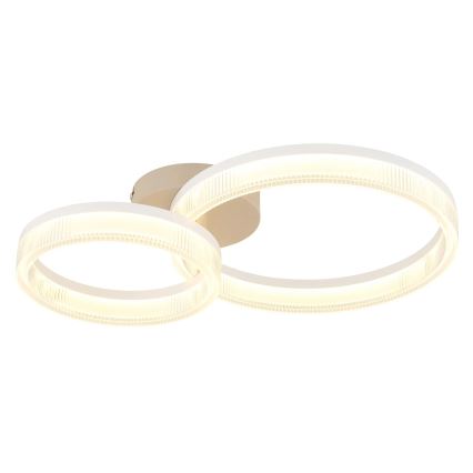 Globo - світлодіодний стельовий світильник LED/24Вт/230В 3000К 33x50 см