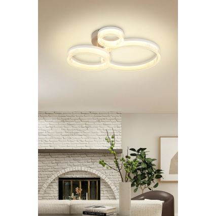 Globo - LED потолочный светильник LED/24 Вт/230 В 3000K 40,5x51 см