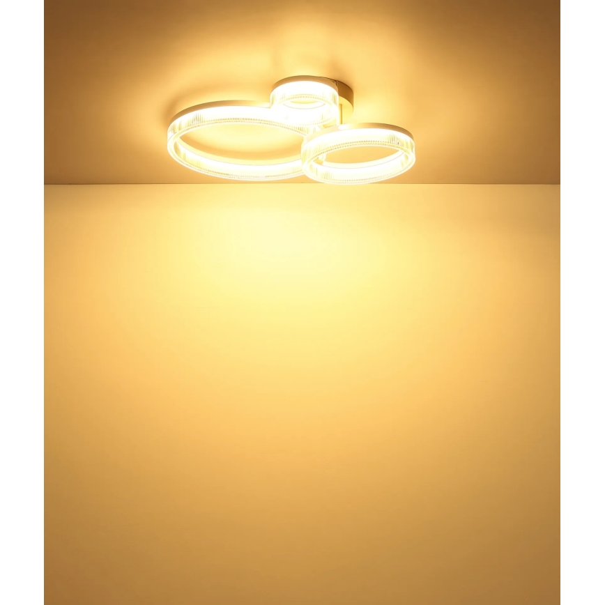 Globo - стельовий світильник LED/24W/230V 3000K 40,5x51 см