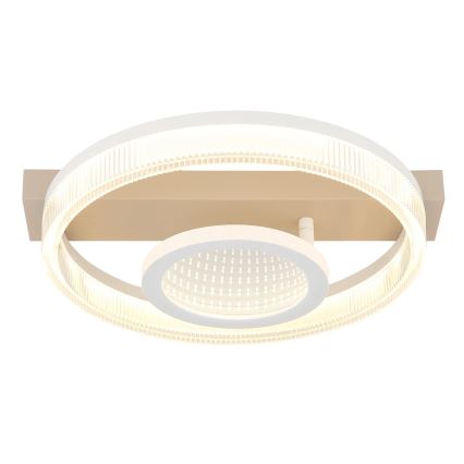 Globo - LED стельовий світильник LED/18W/230V 3000K 33x36 см