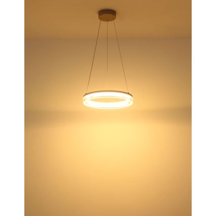 Globo - LED люстра на тросі LED/16W/230V 3000K