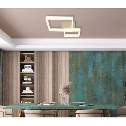 Globo - потолочный светильник LED/24Вт/230В 3000K 46,5x62,5 см