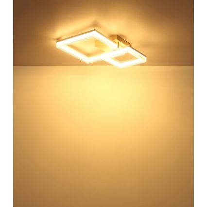 Globo - LED стельовий світильник LED/24W/230V 3000K 46,5x62,5 cm