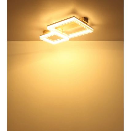 Globo - LED стельовий світильник LED/24W/230V 3000K 33x53 см