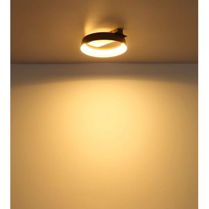 Globo - потолочный светильник LED/12 Вт/230 В 3000 К 26x25 см