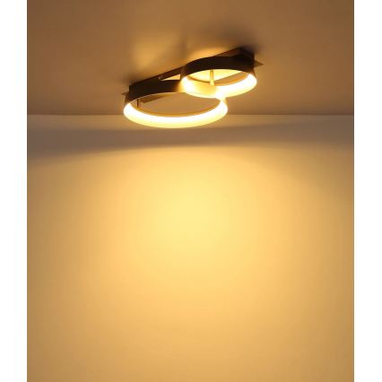 Globo - LED стельовий світильник LED/24W/230V 3000K 50x35 cm