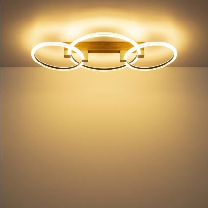 Globo - LED потолочный светильник LED/40W/230V 3000K 76,1x38 cm коричневый