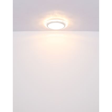 Globo - Светодиодный потолочный светильник LED/22W/230V 3000K диаметр 40 см