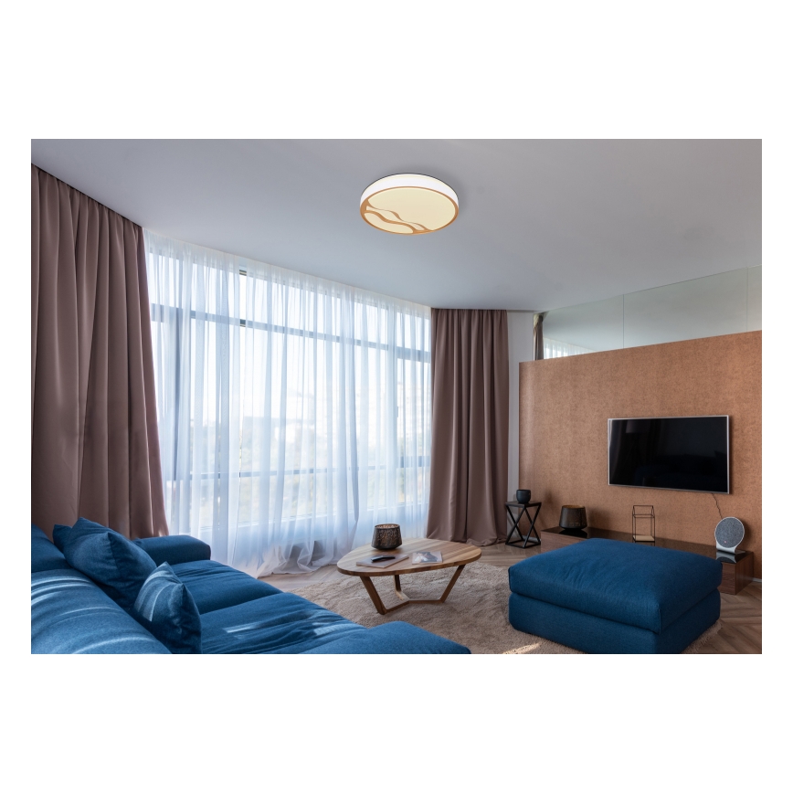 Globo - Стельовий LED світильник з регулюванням яскравості LED/30W/230V 2700K/4000K/6500K + дистанційне керування