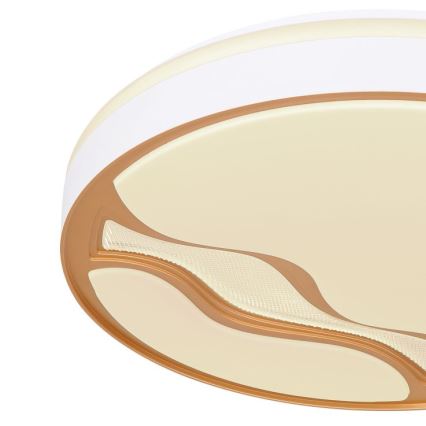 Globo - Стельовий LED світильник з регулюванням яскравості LED/30W/230V 2700K/4000K/6500K + дистанційне керування