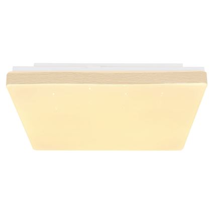 Globo - Светодиодный потолочный светильник LED/12W/230V