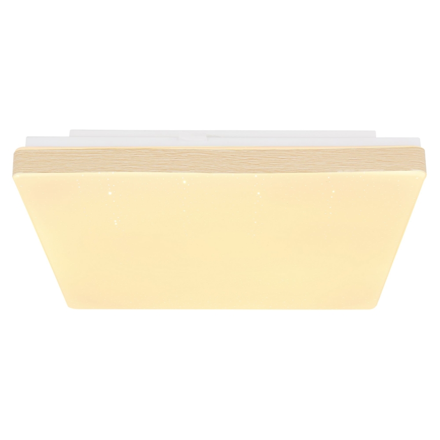 Globo - Светодиодный потолочный светильник LED/12W/230V