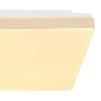 Globo - Светодиодный потолочный светильник LED/12W/230V
