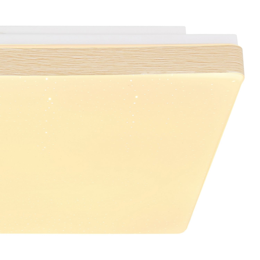 Globo - Светодиодный потолочный светильник LED/12W/230V