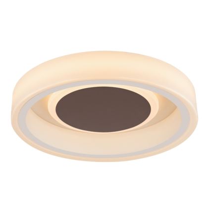 Globo 48398-24 - Стельовий LED світильник GOFFI LED/30W/230V