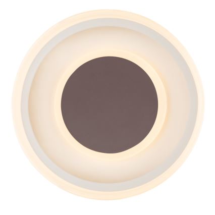 Globo 48398-24 - Стельовий LED світильник GOFFI LED/30W/230V