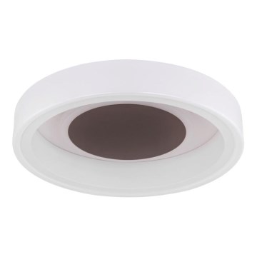 Globo 48398-24 - Светодиодный потолочный светильник GOFFI LED/30W/230V