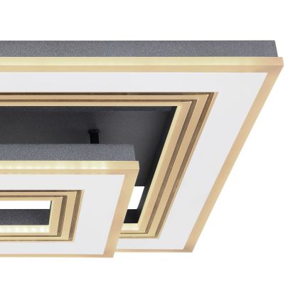 Globo - Світлодіодний стельовий світильник з регулюванням яскравості LED/50W/230V 2700-6000K + пульт дистанційного керування