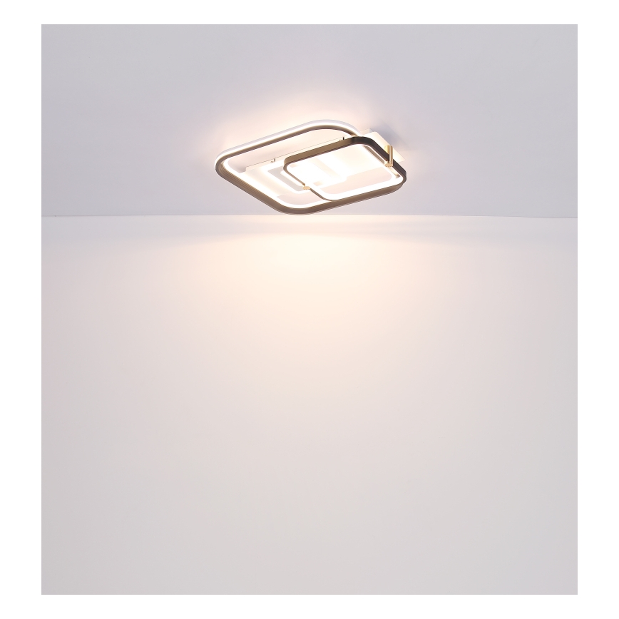 Globo 48459-48 - LED диммируемый потолочный светильник ANI LED/48Вт/230В 2700-6000К 48x52 см + пульт дистанционного управления