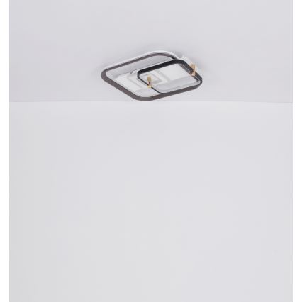 Globo 48459-48 - LED диммируемый потолочный светильник ANI LED/48Вт/230В 2700-6000К 48x52 см + пульт дистанционного управления