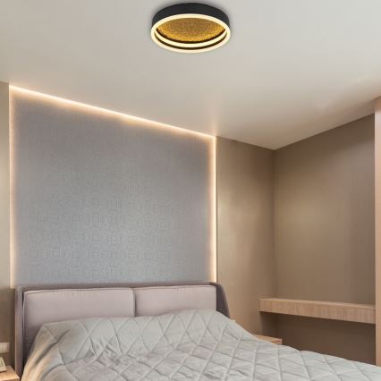 Globo - Стельовий LED світильник LED/24W/230V ⌀ 30 см чорний