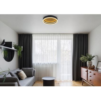 Globo - Светодиодный потолочный светильник LED/24W/230V диаметр 30 см черный