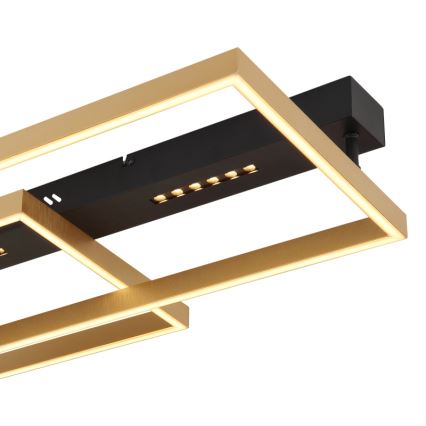 Globo 48461-54 - LED стельовий світильник LUFFY LED/54W/230V 39,8x90 cm чорний/золотий