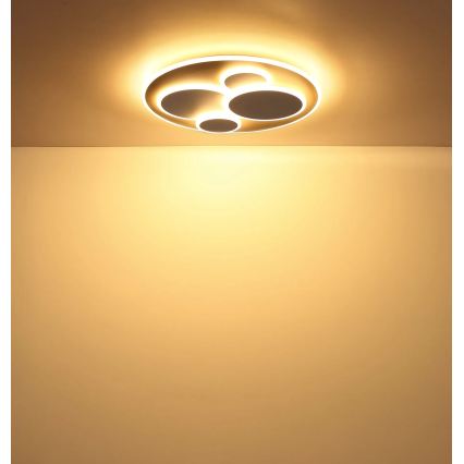 Globo - LED-стельовий світильник LED/40W/230V 3000K діаметр 49 см