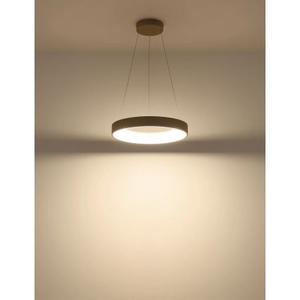 Globo - Диммируемая светодиодная люстра на тросе LED/48W/230V 2700-6000K + пульт дистанционного управления