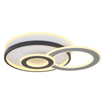 Globo 48552D4 - LED потолочный светильник BRIENNA LED/40W/230V 43x52 см белый/серый