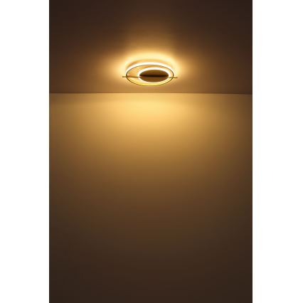 Globo - Стельовий LED світильник LED/36W/230V