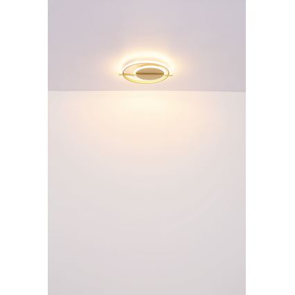 Globo - Светодиодный потолочный светильник LED/36W/230V