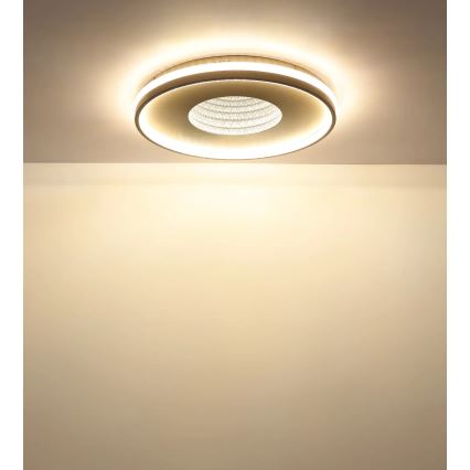 Globo - затемнюваний LED стельовий світильник 40 Вт/230 В 2700-6500 К діам. 50,5 см + пульт дистанційного керування