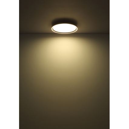 Globo - Светодиодный потолочный светильник с регулированием яркости LED/48W/230V 2700-6000K + дистанционное управление диаметр 50 см