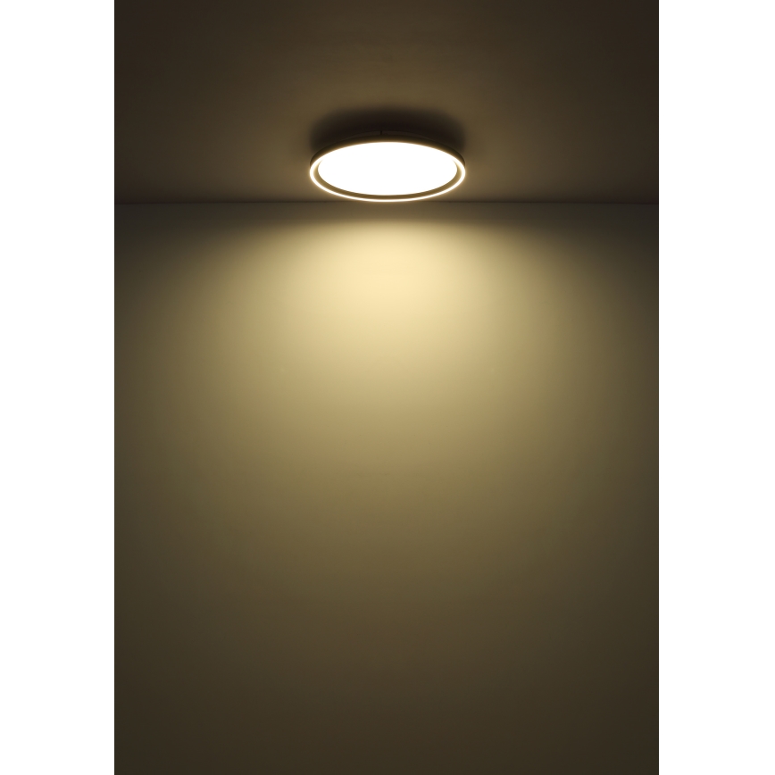 Globo - Светодиодный потолочный светильник с регулированием яркости LED/48W/230V 2700-6000K + дистанционное управление диаметр 50 см