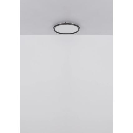 Globo - Светодиодный потолочный светильник с регулированием яркости LED/48W/230V 2700-6000K + дистанционное управление диаметр 50 см